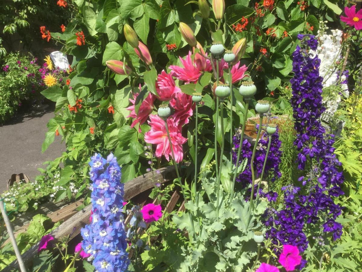 Albertine ,A Warm Welcome Awaits You ,Offering Room Only Or Bed And Breakfast ,Ideal Location For Solent Way ,High Street ,Isle Of Wight ,New Forest リミントン エクステリア 写真