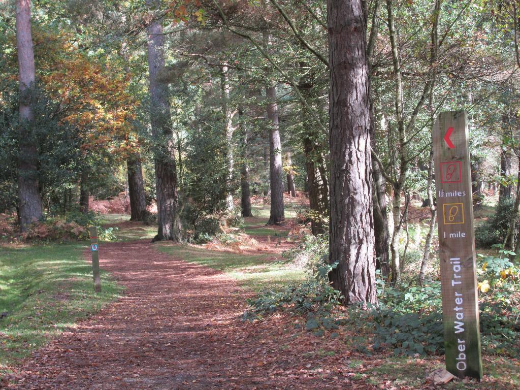Albertine ,A Warm Welcome Awaits You ,Offering Room Only Or Bed And Breakfast ,Ideal Location For Solent Way ,High Street ,Isle Of Wight ,New Forest リミントン エクステリア 写真