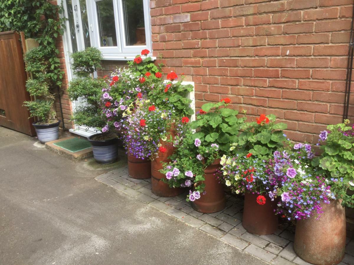 Albertine ,A Warm Welcome Awaits You ,Offering Room Only Or Bed And Breakfast ,Ideal Location For Solent Way ,High Street ,Isle Of Wight ,New Forest リミントン エクステリア 写真